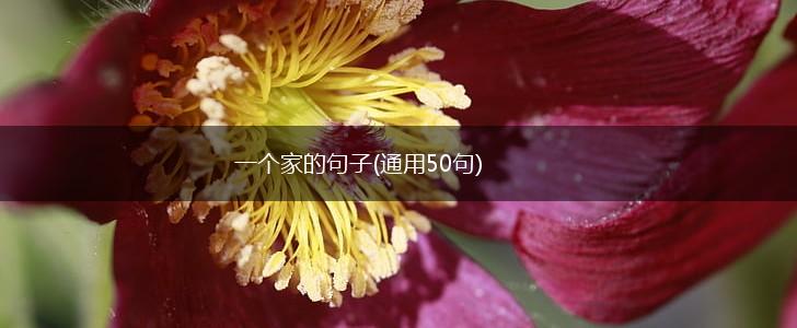 一个家的句子(通用50句),第1张