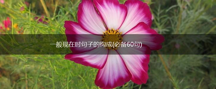 一般现在时句子的构成(必备60句),第1张
