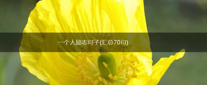 一个人励志句子(汇总70句),第1张