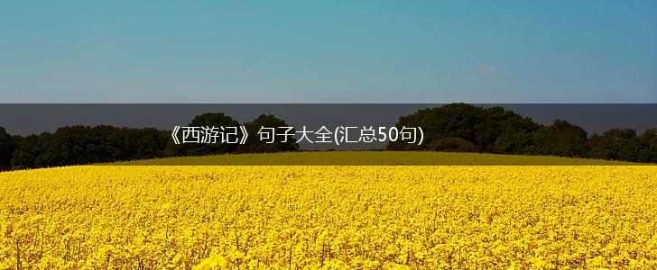《西游记》句子大全(汇总50句),第1张