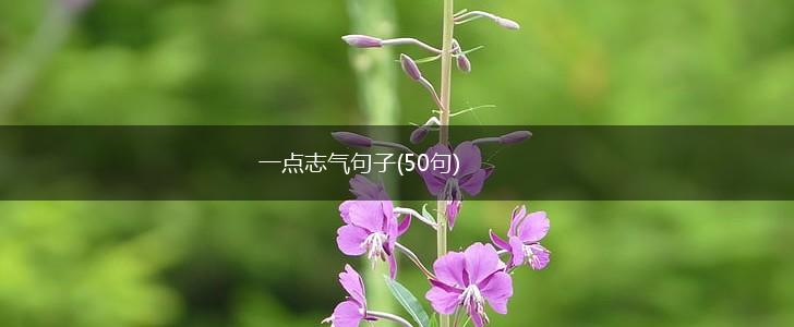 一点志气句子(50句),第1张