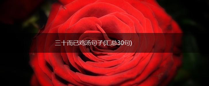 三十而已鸡汤句子(汇总30句),第1张