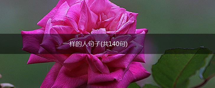 一样的人句子(共140句),第1张