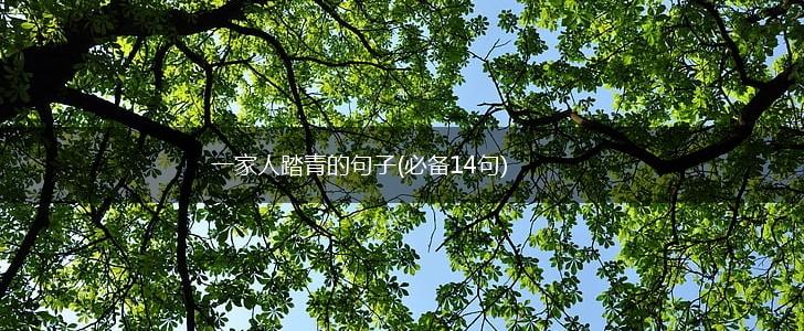 一家人踏青的句子(必备14句),第1张