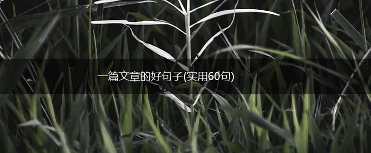 一篇文章的好句子(实用60句),第1张