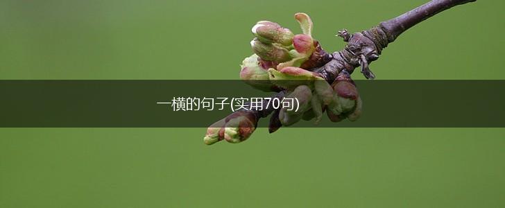 一横的句子(实用70句),第1张