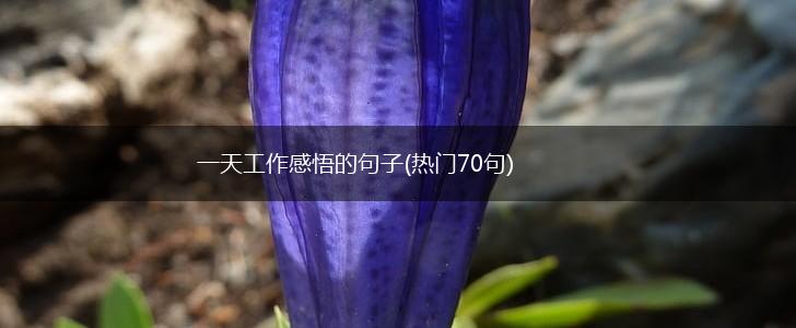 一天工作感悟的句子(热门70句),第1张