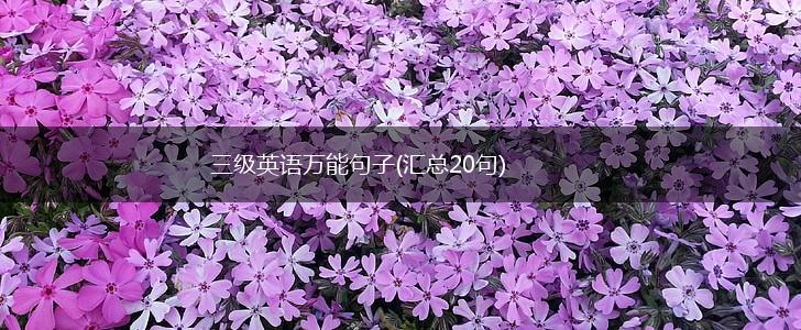 三级英语万能句子(汇总20句),第1张