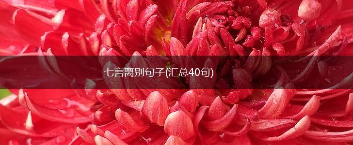 七言离别句子(汇总40句),第1张