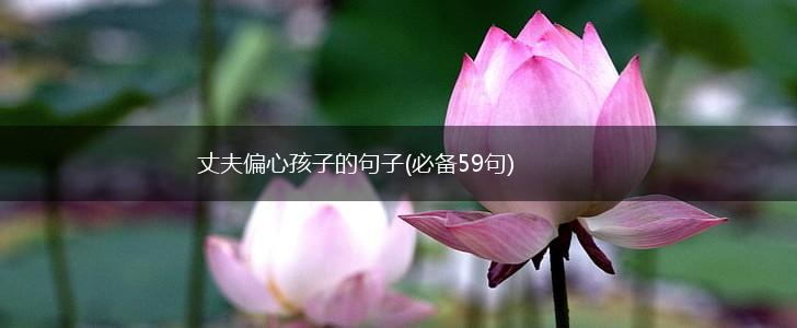 丈夫偏心孩子的句子(必备59句),第1张