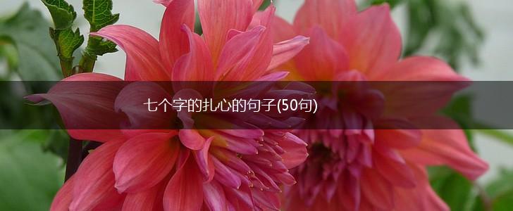 七个字的扎心的句子(50句),第1张
