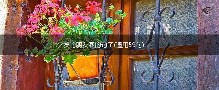 七夕发的朋友圈的句子(通用59句),第1张