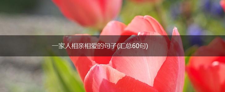 一家人相亲相爱的句子(汇总60句),第1张