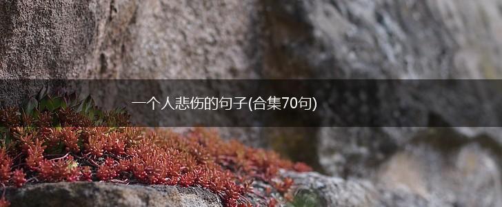 一个人悲伤的句子(合集70句),第1张