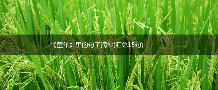 《童年》里的句子摘抄(汇总15句),第1张