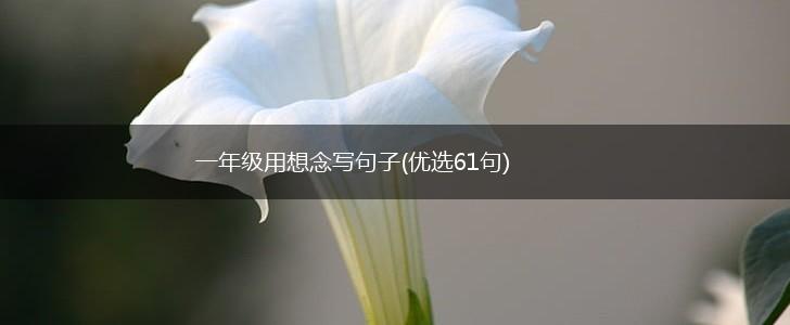 一年级用想念写句子(优选61句),第1张