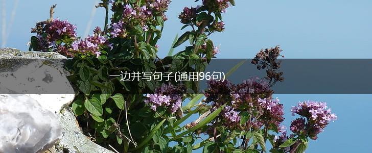 一边并写句子(通用96句),第1张