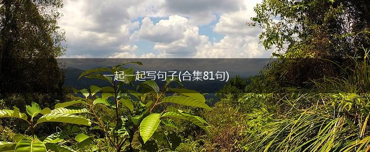 一起一起写句子(合集81句),第1张