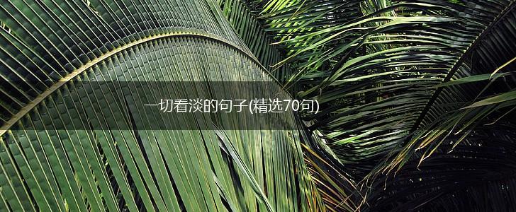 一切看淡的句子(精选70句),第1张
