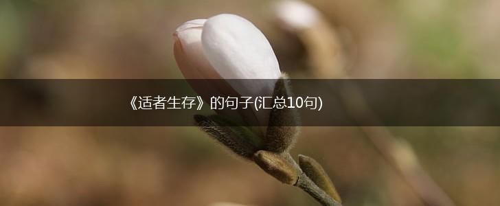 《适者生存》的句子(汇总10句),第1张
