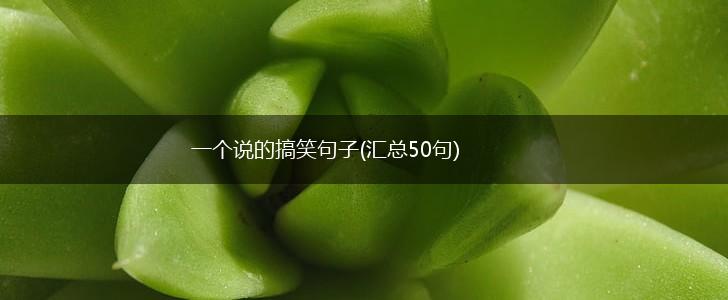 一个说的搞笑句子(汇总50句),第1张