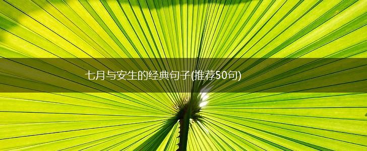 七月与安生的经典句子(推荐50句),第1张