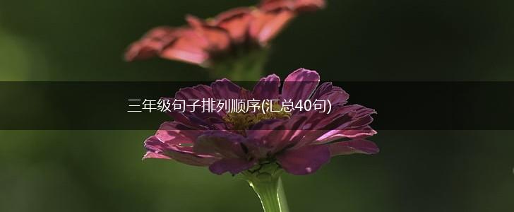 三年级句子排列顺序(汇总40句),第1张