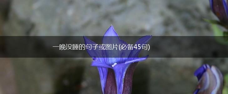 一晚没睡的句子或图片(必备45句),第1张