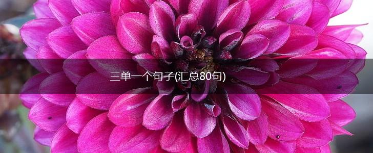 三单一个句子(汇总80句),第1张