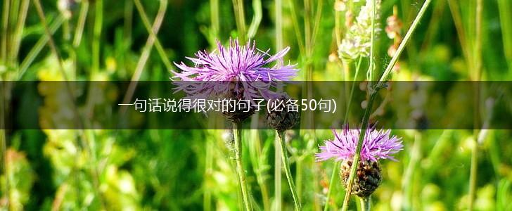 一句话说得很对的句子(必备50句),第1张