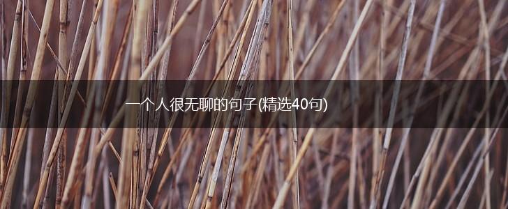 一个人很无聊的句子(精选40句),第1张