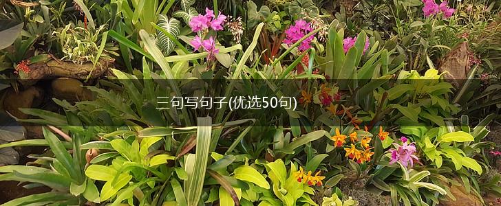 三句写句子(优选50句),第1张
