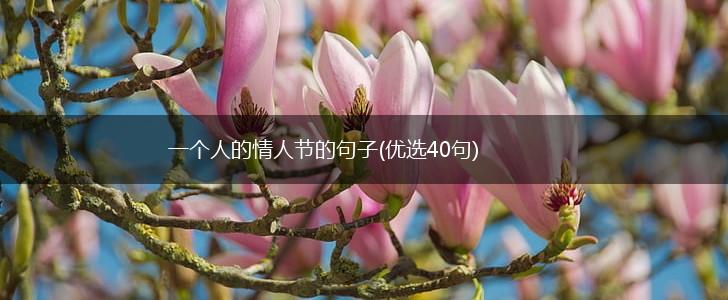 一个人的情人节的句子(优选40句),第1张