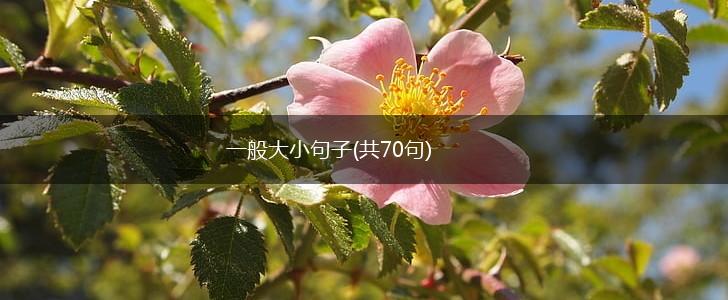 一般大小句子(共70句),第1张