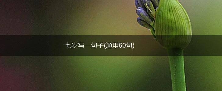七岁写一句子(通用60句),第1张