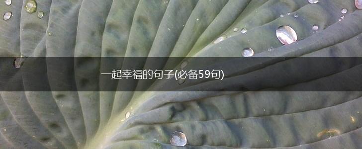 一起幸福的句子(必备59句),第1张