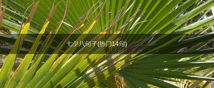 七夕八句子(热门14句),第1张