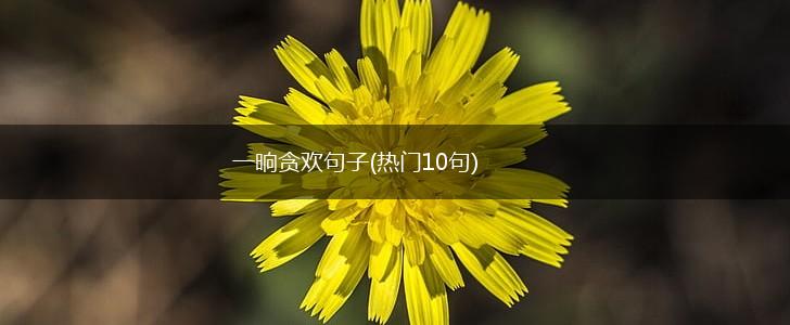 一晌贪欢句子(热门10句),第1张