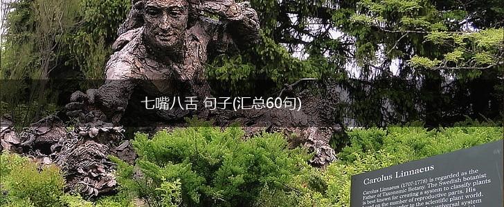 七嘴八舌 句子(汇总60句),第1张