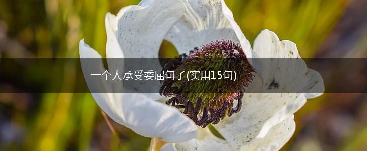 一个人承受委屈句子(实用15句),第1张