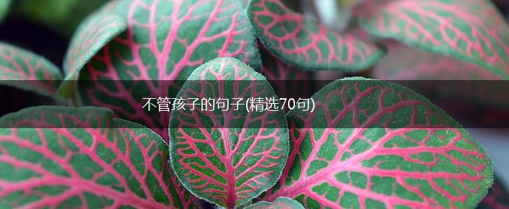 不管孩子的句子(精选70句),第1张