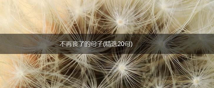 不再丧了的句子(精选20句),第1张