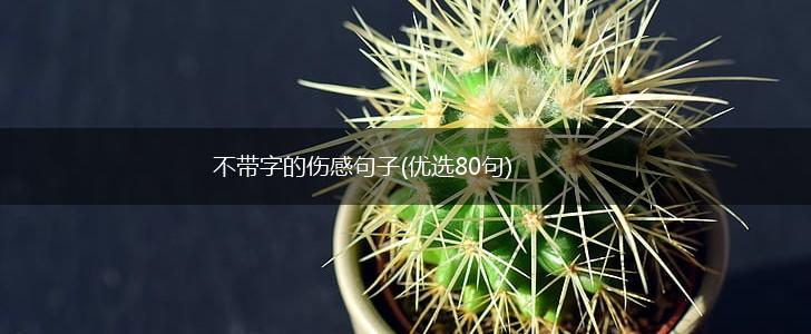 不带字的伤感句子(优选80句),第1张
