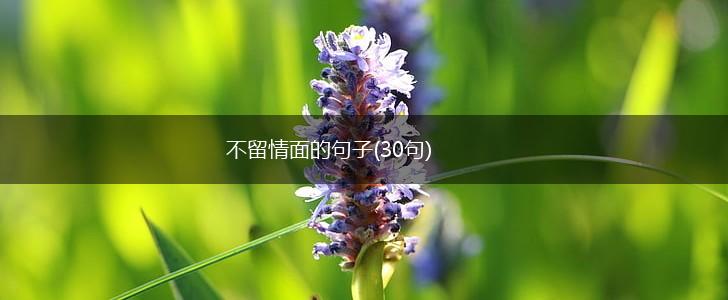 不留情面的句子(30句),第1张