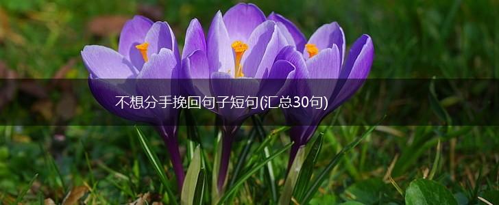 不想分手挽回句子短句(汇总30句),第1张