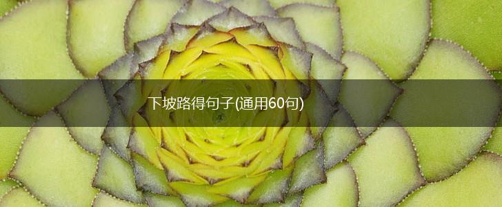 下坡路得句子(通用60句),第1张