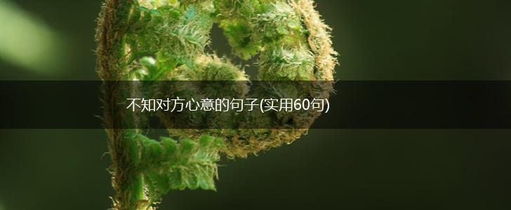 不知对方心意的句子(实用60句),第1张