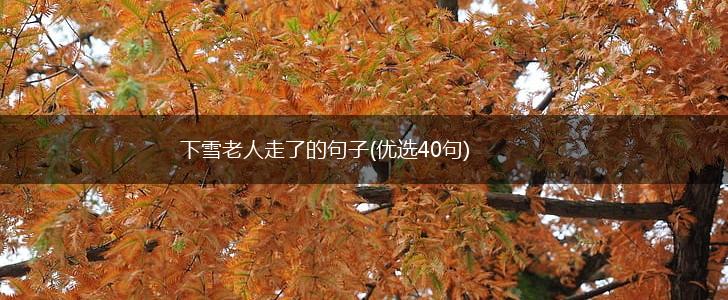 下雪老人走了的句子(优选40句),第1张