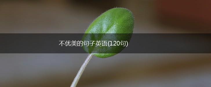 不优美的句子英语(120句),第1张