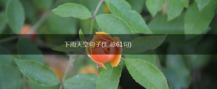 下雨天空句子(汇总61句),第1张
